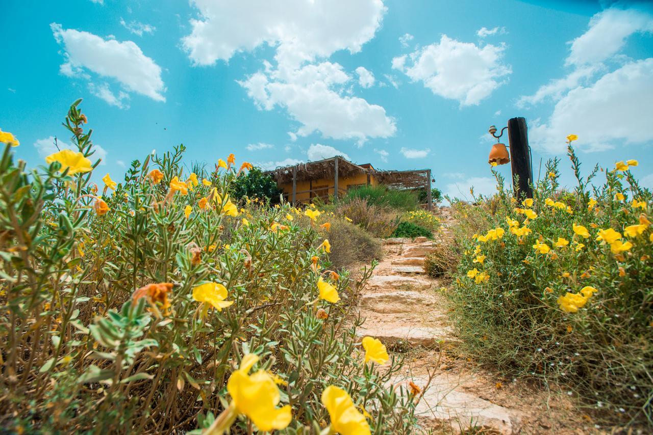 Carmey Avdat Farm Midreshet Ben Gurion Экстерьер фото
